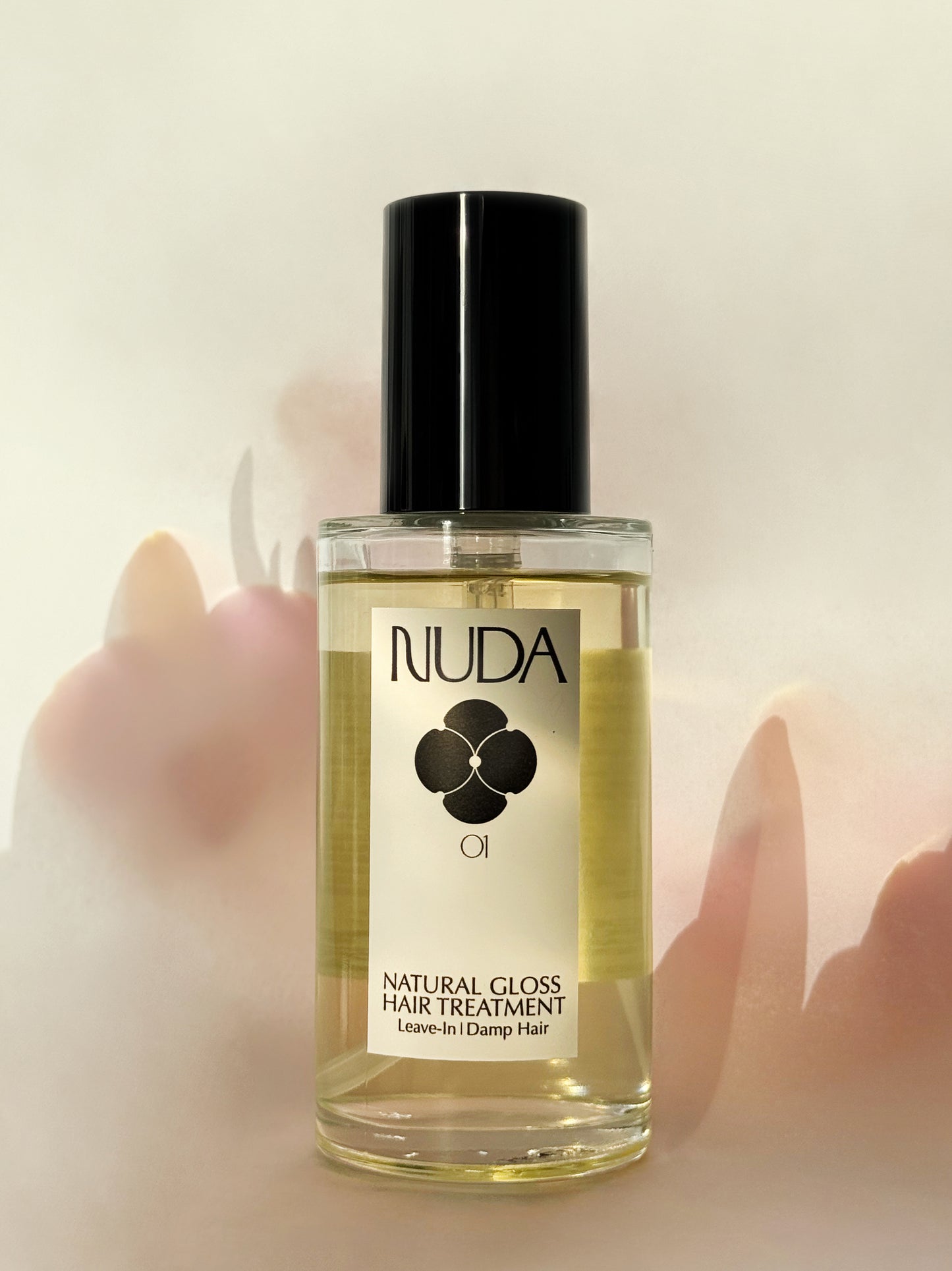 01 NATURAL GLOSS HAIR TREATMENT